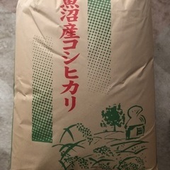 令和2年魚沼産コシヒカリ玄米３０キロ(十日町)