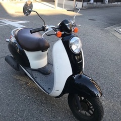 HONDA スクーピー　ジャンク品