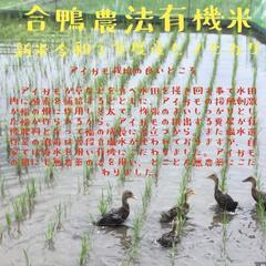 新米 岡山県産 有機栽培 合鴨米 ヒノヒカリ 5kg