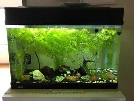 その他 60L