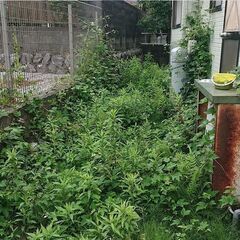 除草キャンペーン中(*^^)v 浜松～焼津エリア 草刈 / 除草 / 除草剤散布 / 伐採 / 剪定 暖謝離本舗にお任せください♪ − 静岡県