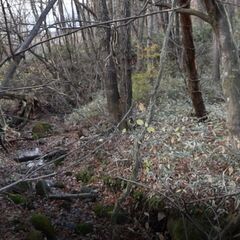 蔵王、遠刈田温泉の原野を譲ります。敷地の一番奥に沢も流れる土地 - 土地販売/土地売買