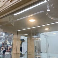 サルタレッリ モビリ(SALTARELLI MOBILI) ライト付きキュリオケース