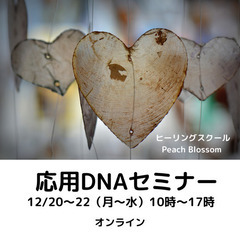《1/23.25.26@オンライン》応用DNAセミナー開催します！！