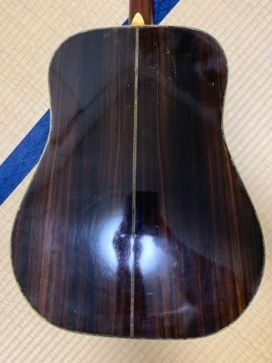 トップ単板Gilbert SK-50
