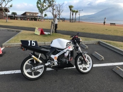 NS1 お譲り致します