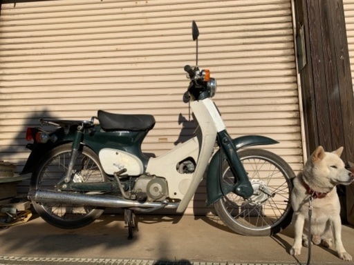 C50 スーパーカブ　不動　日立南太田ic