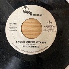 レゲエレコード100枚　1枚500〜5000円の市場　価値