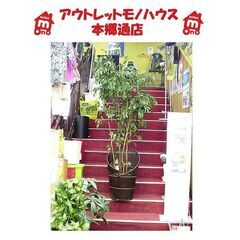 札幌【フェイクグリーン 人工観葉植物 ①】高さ190cm ボタニ...