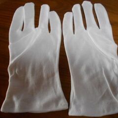 綿手袋フリーサイズ　×　6個