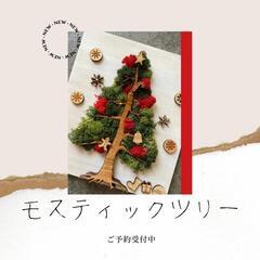 12/1〜 モスアートのクリスマスツリー体験