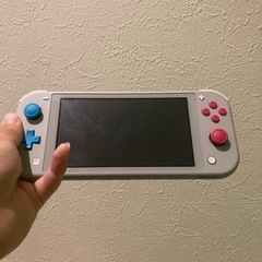 Switch Lite