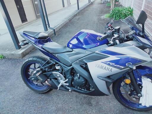 ＹＺF　R25