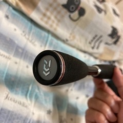 ダイワ　スティーズスカイレイ　STZ631MLFB-SV ベイトフィネスロッド