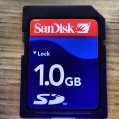 Sandisk 1GB SDカード