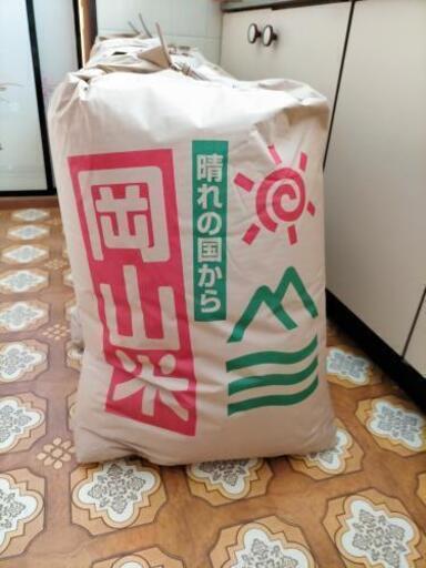 ♦「2022年   新米コシヒカリ30㎏ 玄米」2袋で15000円、お得‼️採れたて野菜付！