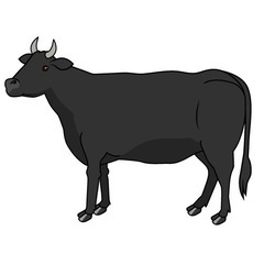 （お願い！）肉牛の牛の詳しい本とかが欲しいの画像