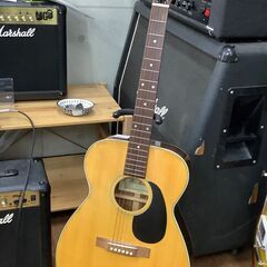【Pro Martin F-170】アコースティックギター販売中！
