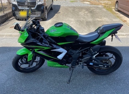 Ninja250sl ヨシムラマフラー装着車 カスタム多数 僕の大好きな