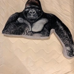 お引取先決定🥰リアルゴリラ🦍の腕枕