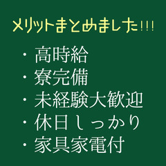 Wi-Fi付き寮完備のサイドエアバッグ目視検査スタッフ