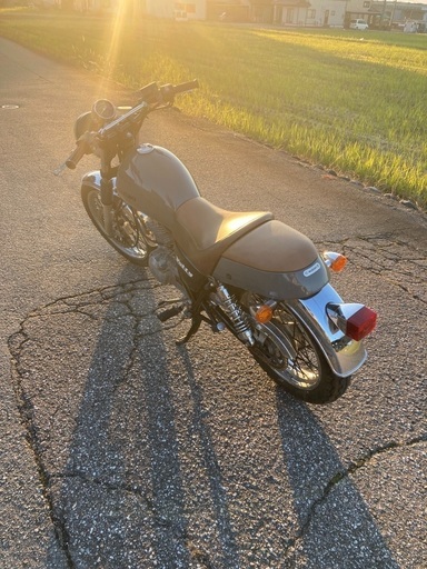 ボルティー 250 実働車　一時抹消済み