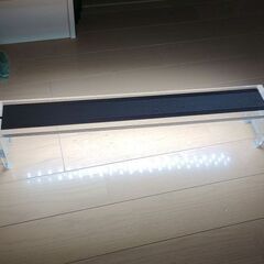 ADAAQUAスカイ60cm