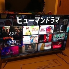 TCL 4K液晶 Android TV  43P8B 2021年...