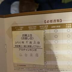 ラクーナビッテクッション　