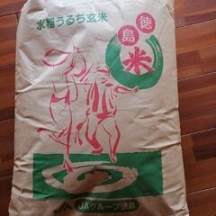 令和2年産　保冷庫保存コシヒカリ30kg玄米
