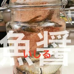 魚醤作り体験教室   伝統的な輪島産「いしる」　いしるを知ると料...