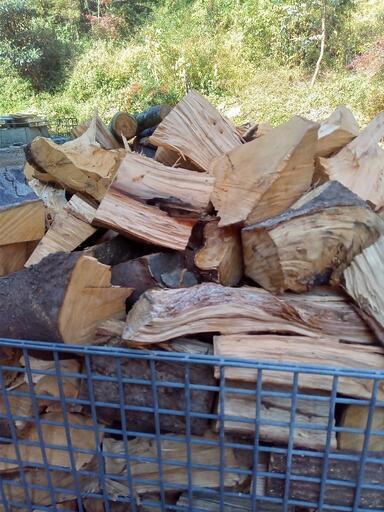 ●完売御礼●規格外 コロ 薪 未乾燥 広葉樹ミックス まとめ売りのみ ○完売御礼○規格外 コロ 薪 未乾燥 広葉樹ミックス まとめ売りのみ