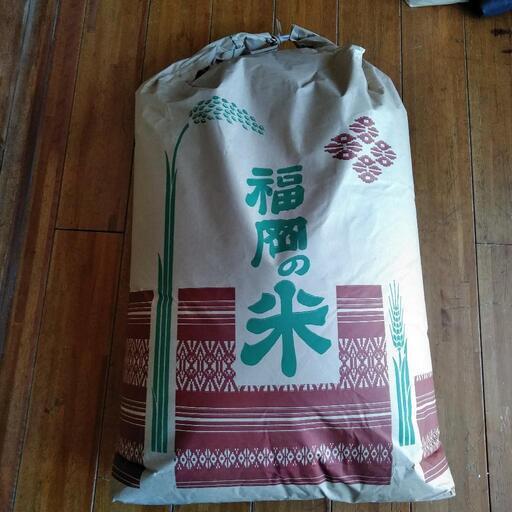 令和3年産　ヒノヒカリ　新米　30kg