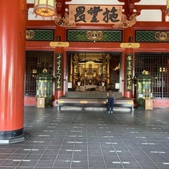 京都の神社仏閣.必見✨
