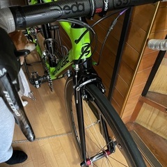 キャノンデール　スーパーシックスエボ　限界値下げ-セリーヌ ブギーバッグ 