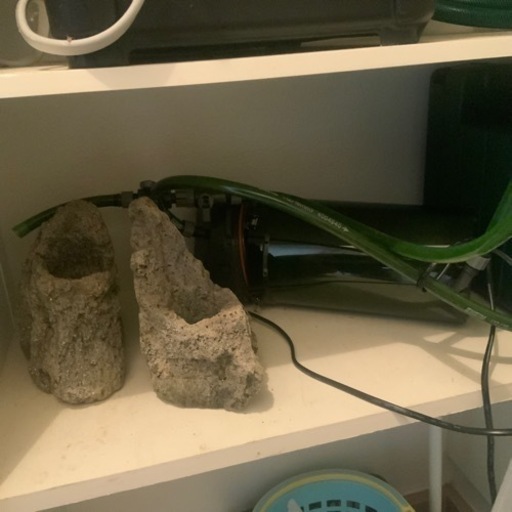 水草水槽60cm