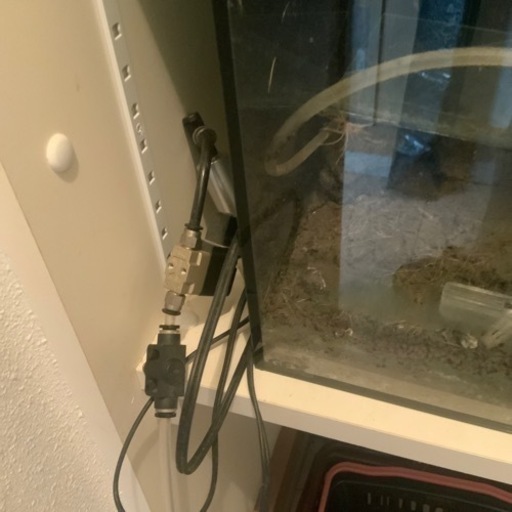水草水槽60cm