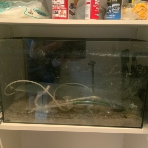 水草水槽60cm