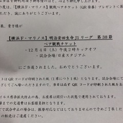 【ネット決済・配送可】横浜Fマリノス 明治安田生命J1リーグ 第...