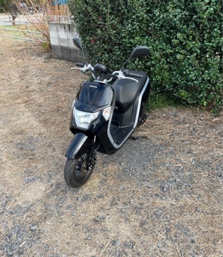 77. ホンダ　ダンク　DUNK  原付　バイク　50cc   しゃた