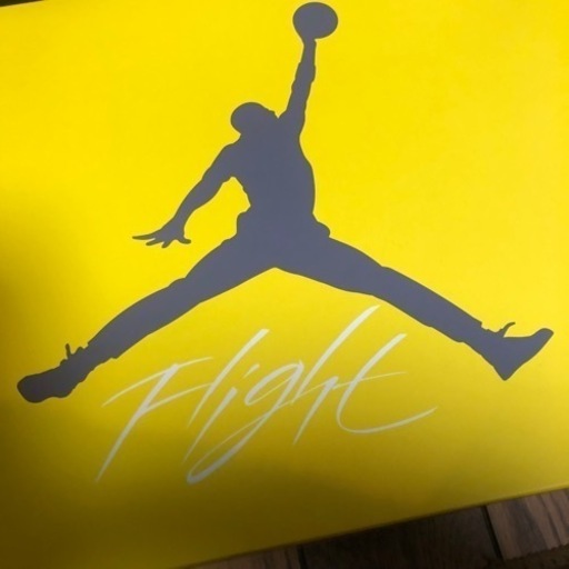 スニーカー NIKE AIR JORDAN4 lightning TOUR YELLOW