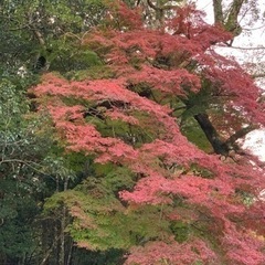 貴方の存在能力を開花するセッション