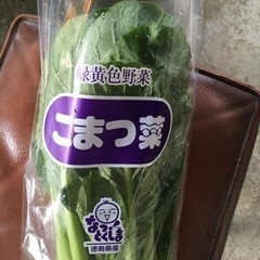 【ネット決済・配送可】小松菜(1袋210g以上)65円