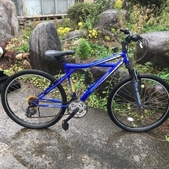 自転車