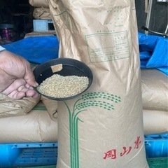 完全無農薬　玄米　令和4年産　30キロ　新米取れました