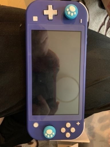 決定ありがとうございます✨✨任天堂Switch Light✨ スイッチライト