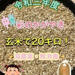 【ネット決済】彩のかがやき　玄米20キロ　中米　
