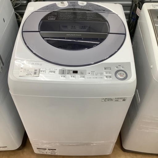 【トレファク摂津店】SHARP【シャープ】の2019年製全自動洗濯機が入荷致しました！！
