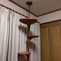 【引き渡し予定者決定】キャットタワー OPPO(オッポ)・カラーブラウン