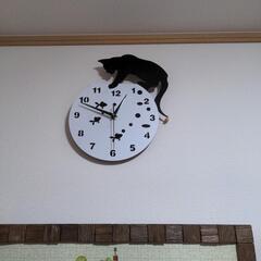 猫の時計